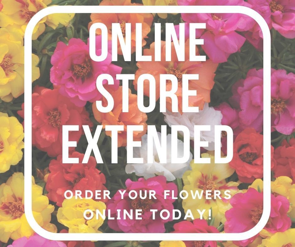 Flower Sale Extended