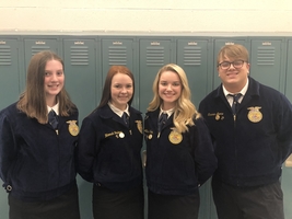 FFA sub district public speaking